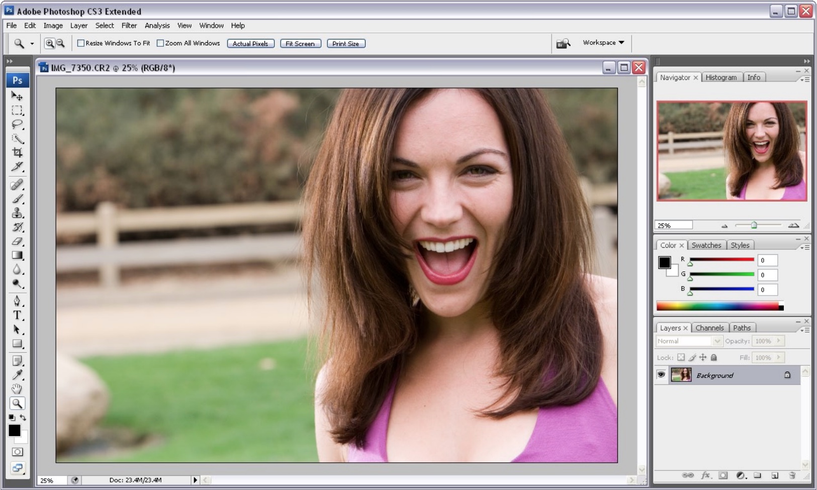 Adobe Photoshop CS3 for Windows Workspace (2007)